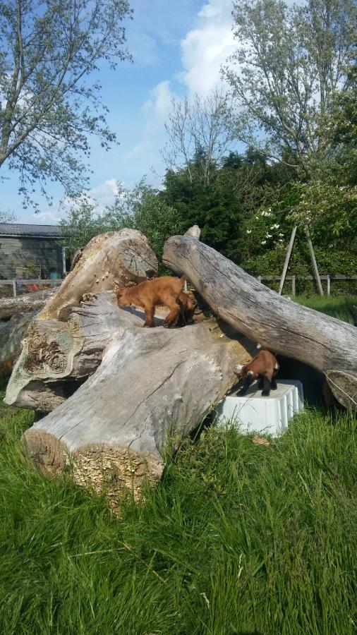 Boerenskuur De Bedstee Groen Assendelft Extérieur photo